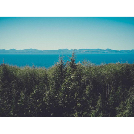 Ceinture Cuir Tressé | Ma Boutique