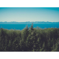 Ceinture Cuir Tressé | Ma Boutique